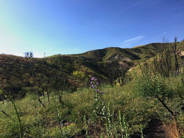 A view of the Santa Monica Mountains near Hidden Hills, CA