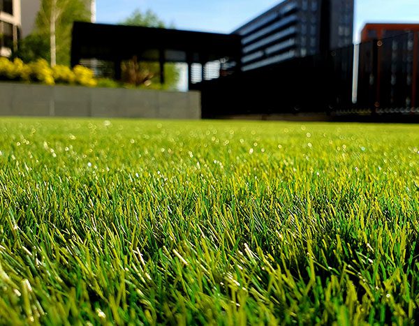 Artificial turf installed in a yard