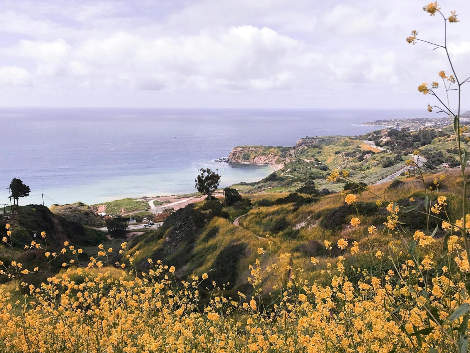 The Forrestal Nature Reserve in Rancho Palos Verdes, CA